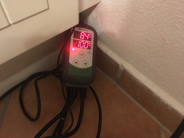 Gärführung 10°C.JPG