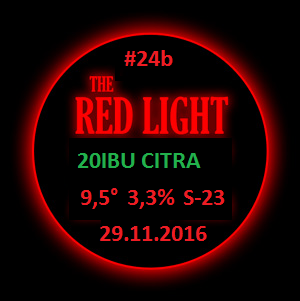 24b.png