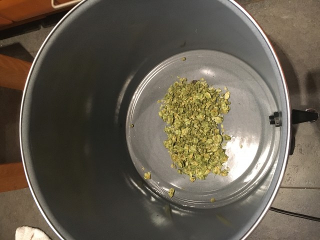 So habe ich das mit der Vorderwürzehopfung zumindest verstanden, Hopfen in den Kessel und Würze drauf, hoffe mal das war richtig so