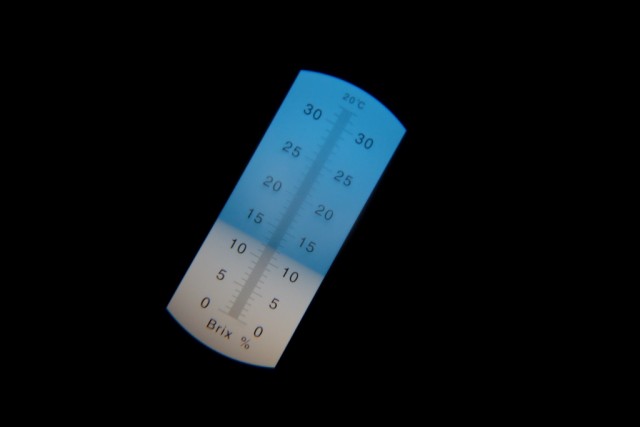 Stammwürze messen in Brix: 12,1 lt. Refraktometer. Entpricht 11,7 °Plato - sollte vor dem Würzekochen so iO sein!? Im Rezept stehen jedenfalls keine Angaben dazu.