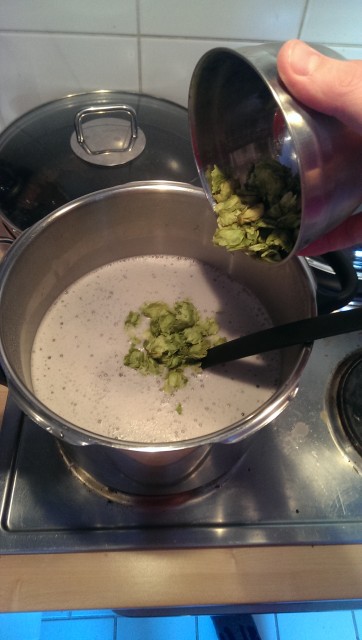 Und da küsst der erste Hopfen die Maische