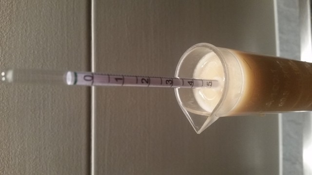 Spindelprobe mit 2El dickbreiiger Hefe