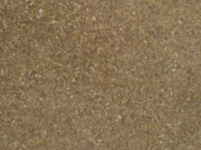 20170126_104247.jpg