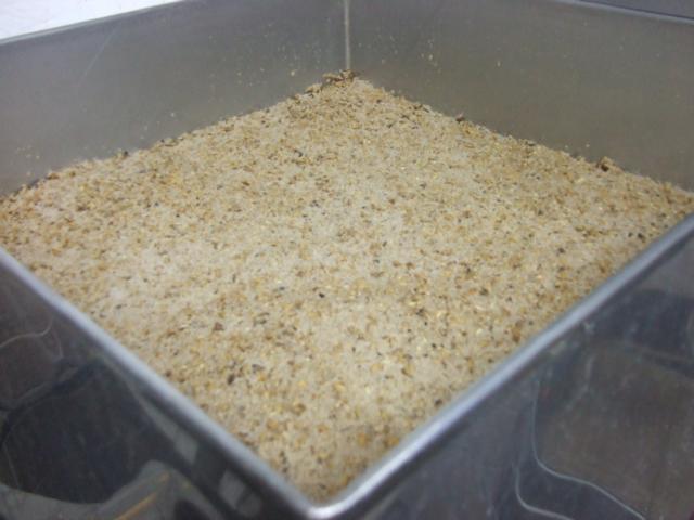 Damit fing es also an, ein Läuterkuchen aus rund 21 kg Trebern aus dem Sud des Vormittags