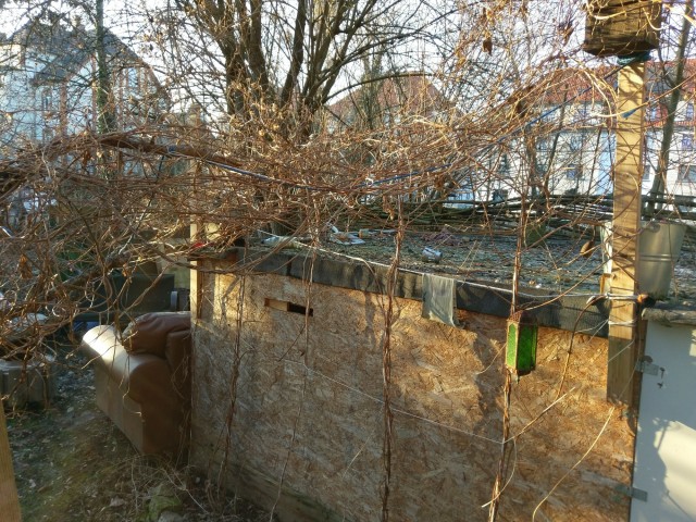 konstruktion3.jpg (1.23 MiB) 4983 mal betrachtet Improvisierte Rankhilfen