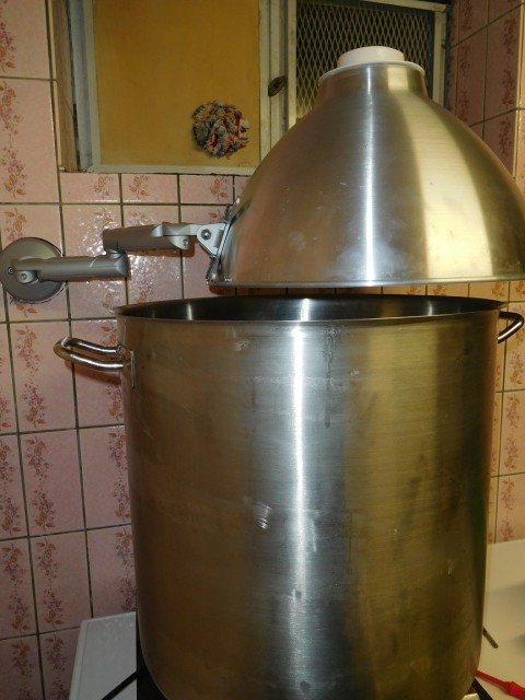 DSCN0701.JPG
