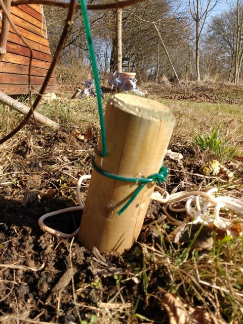 1.jpg (500.43 KiB) 4699 mal betrachtet 60 cm Pflanzpflock in den Boden getrieben, Wäscheleine drangetackert - hält bisher