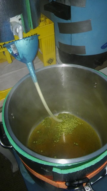 Vorderwürzehopfung