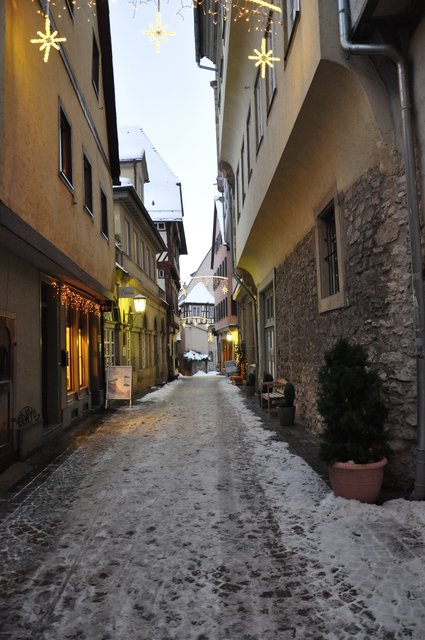 DSC_0733.jpg