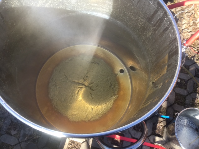 Hopfen Kegel.jpg