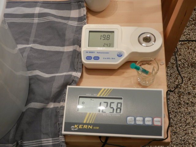 12_3l mit 19_8_Brix.jpg
