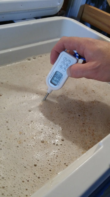 Einmaischtemperatur fast getroffen. Sollte eigentlich ein Grad mehr sein.