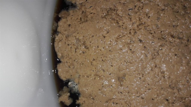 20170312_185555 (Medium).jpg