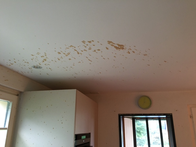 Hefe Explosion.JPG