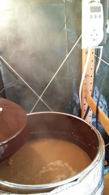 Kochen der Dünnmaische.