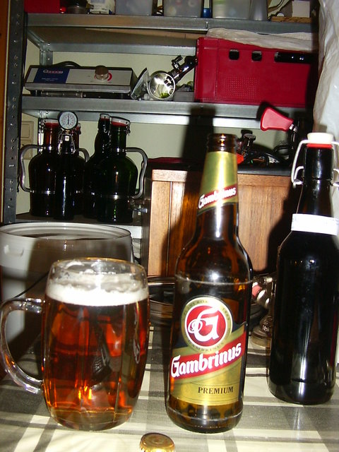 Gambrinus Premium.JPG