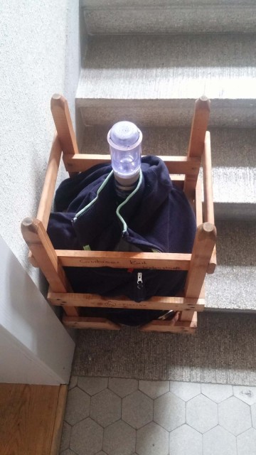 Stammwürze war leider nur 17°P, angedacht waren 18.5°P. Entweder hätte ich bei 6 kg Malz auf 23 l Wasser die Rastzeiten verlängern müssen, oder länger kochen müssen. Das Mostfass hat ein schönes Jäckchen bekommen, damit schön dunkel ist. Evtl. schneidere ich mir  eine Burka für das Fass (Aussen Weiss gegen Wärmeaufnahme, innen Schwarz wegen der Dunkelheit) damit ich keine alten Kleider verwenden muss.
