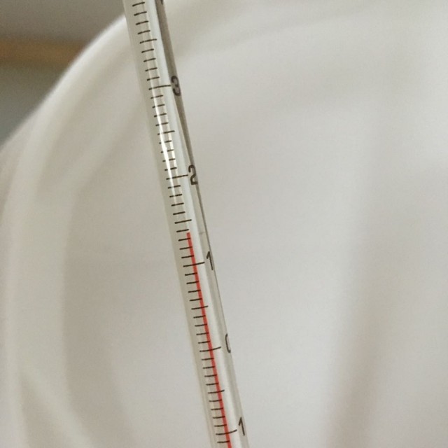 temp.jpg