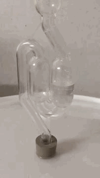 blubbern.gif