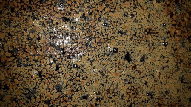 IMG-20170331-WA0117.jpeg