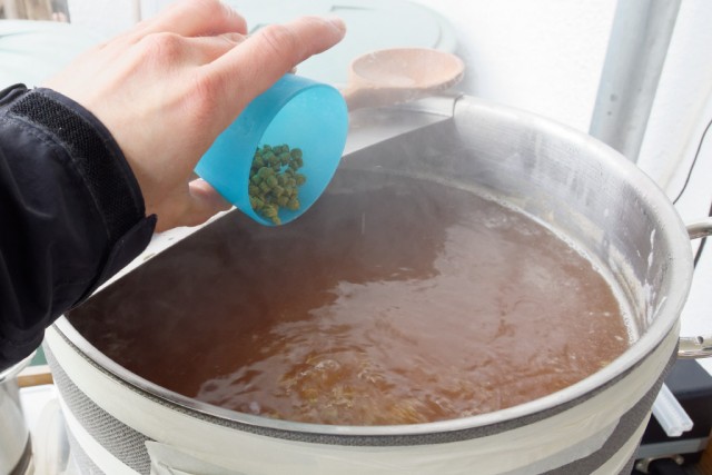 Erste Hopfengabe