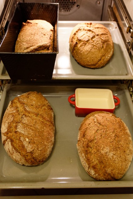 Treberbrote. Rezepte auf Anfrage