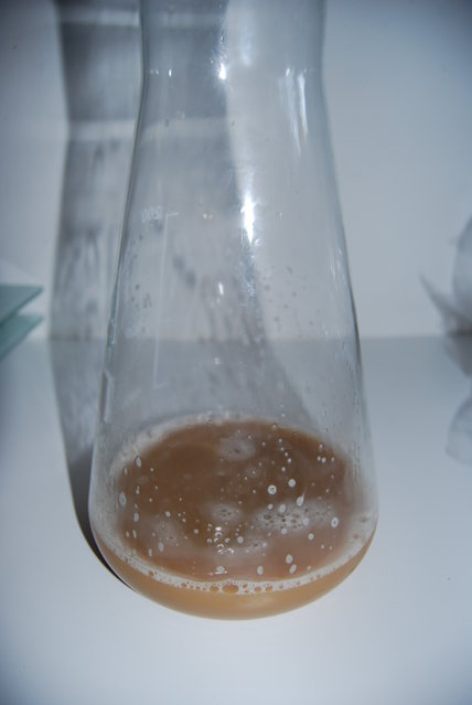 DSC_0351.JPG