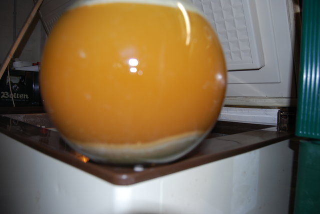 DSC_0387.JPG