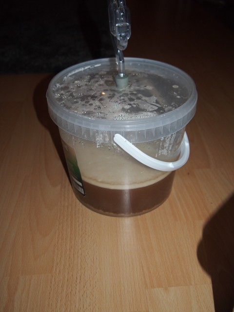Hochkräusen beim Gären