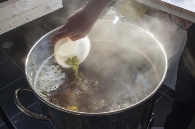 Die erste Hopfengabe: 40g Brewers Gold für 60 minuten