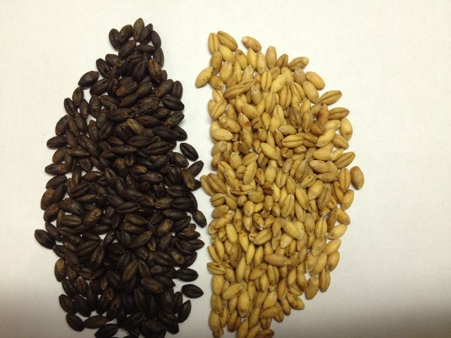 image.jpg (761.06 KiB) 4769 mal betrachtet Ergebnis des Röstens