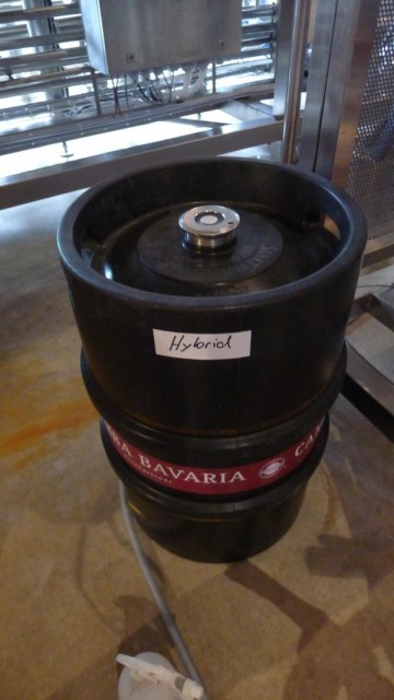 K800_Hefe.JPG