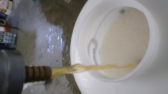 Hopfen seihen ohne Filter.JPG