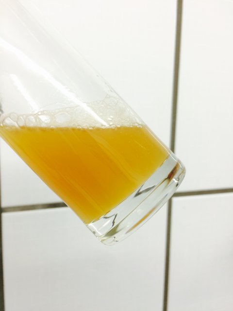 pliny_clone_nach der HG.jpg