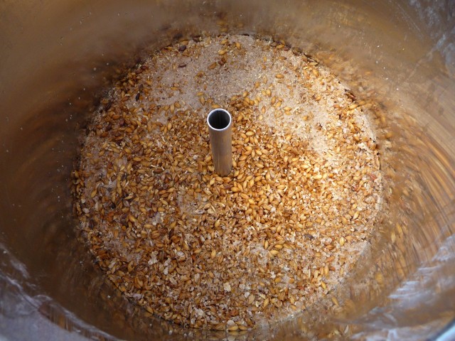 Maischen-5.jpg
