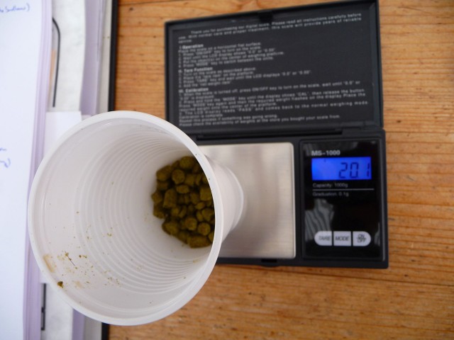 Hopfengabe.jpg