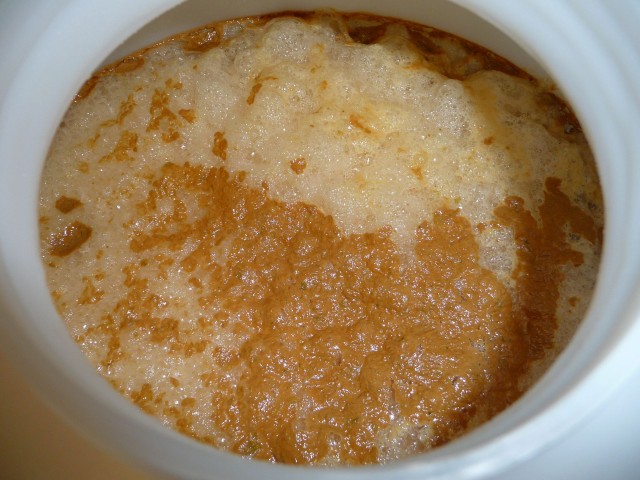 Gärung-2.jpg