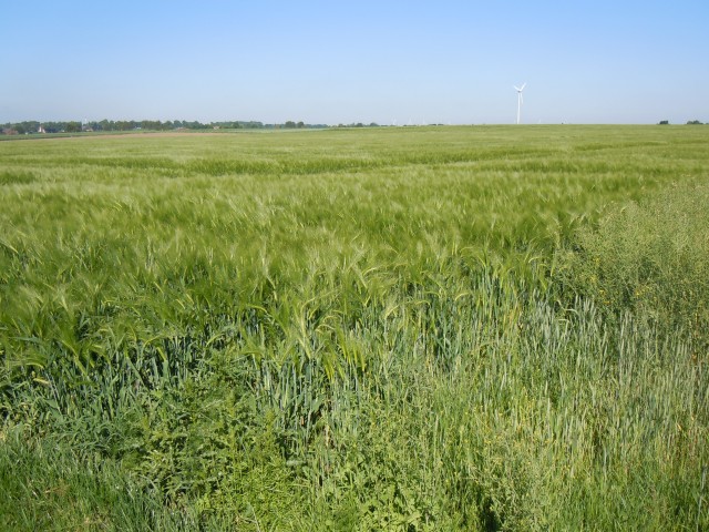 DSCN3084.JPG