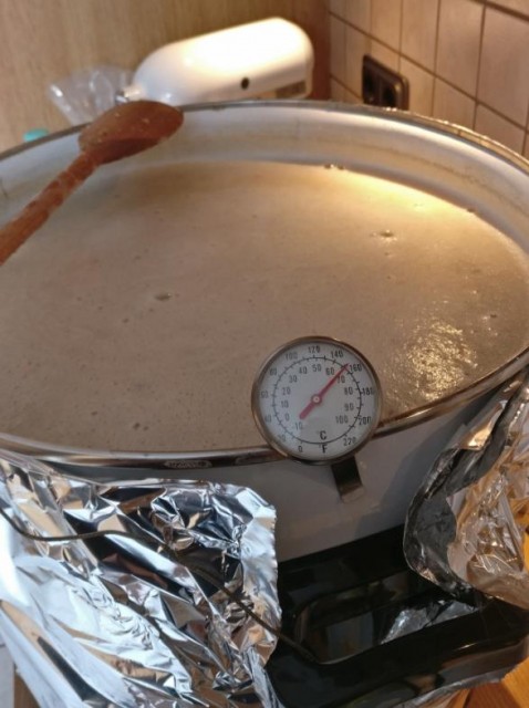 _3_Temperatur_Maischen.jpg
