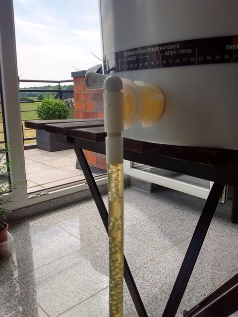2017-06-15 12.15.26.jpg