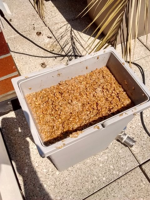 2017-06-15 14.10.26.jpg