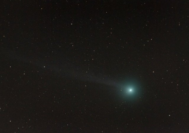 Lovejoy_C2014Q2_AT.jpg