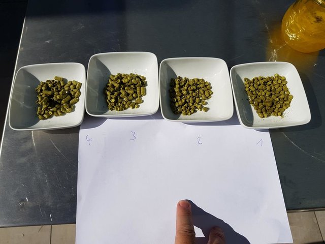 Hopfen