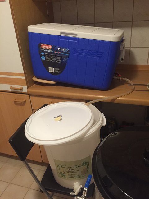 7läutern.jpg