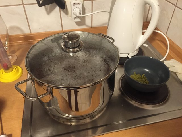 10hopfenkochen.jpg