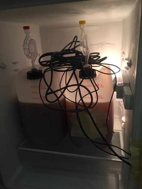12kühlschrank.jpg
