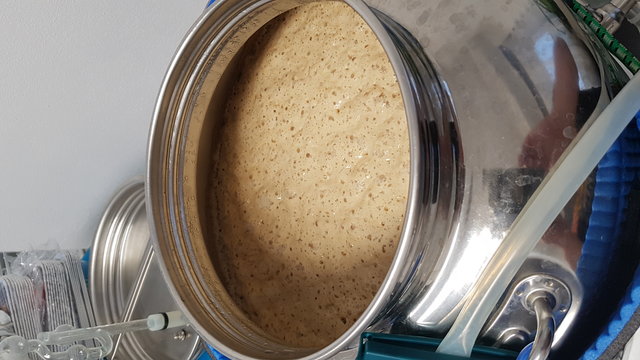 20170717_211411.jpg