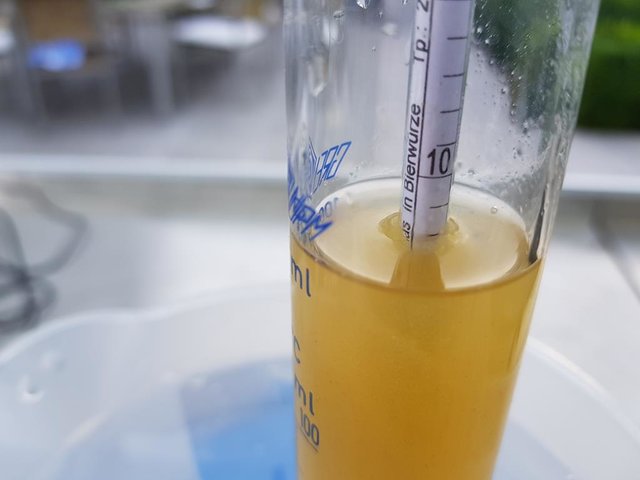 Stammwürze geplant 11,8