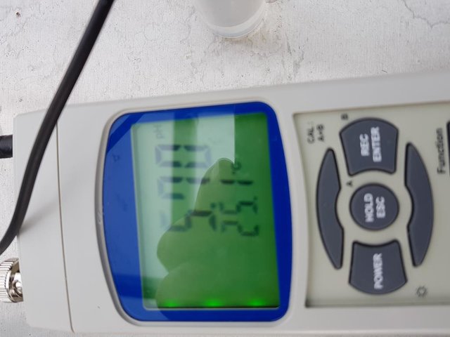PH-Wert nach Kochen