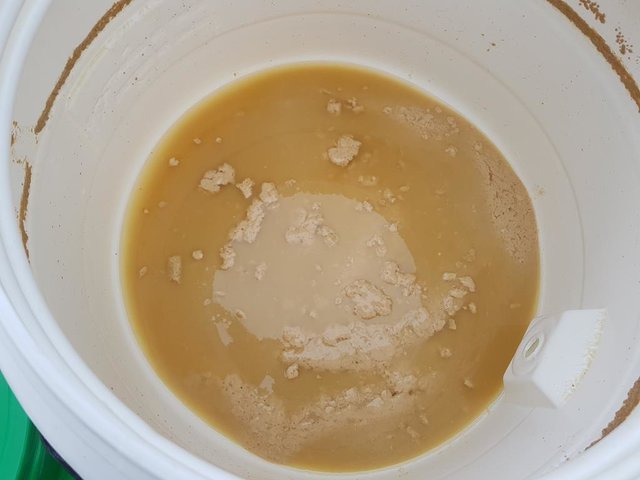 20170721_171750 (Copy).jpg (56.04 KiB) 3016 mal betrachtet Rest im Gärfass